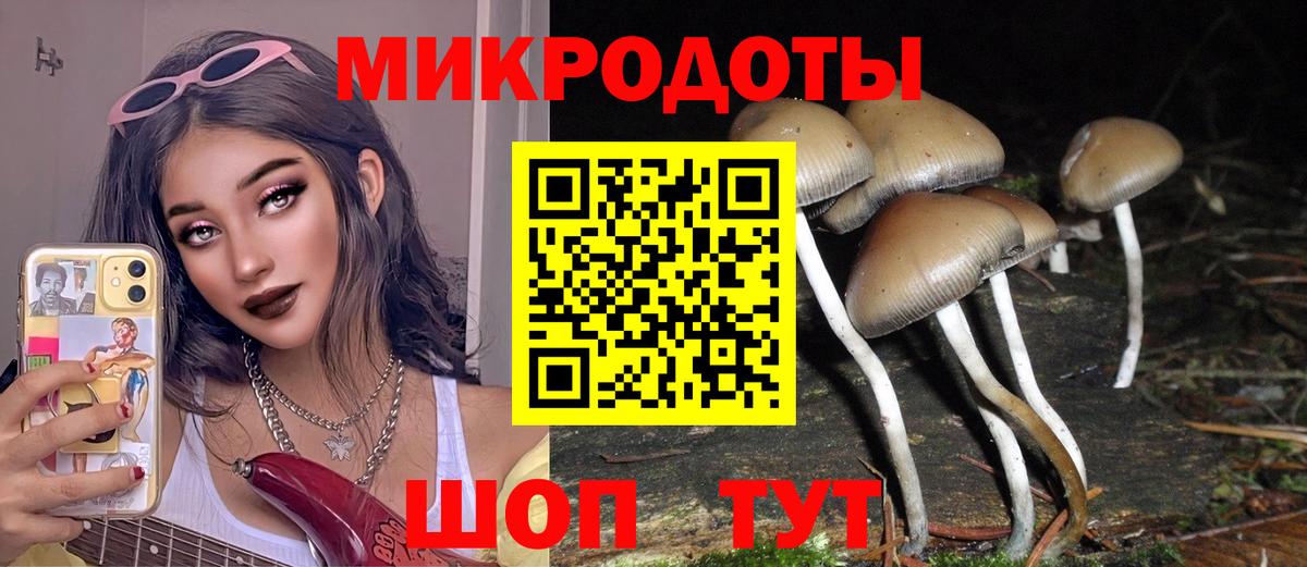 Псилоцибиновые грибы Cubensis  Галлюциногенные грибы GOLDEN TEACHER  Вход с VPN  Белая Калитва 